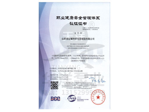 職業(yè)健康******管理體系證書(shū)